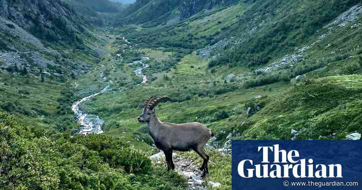 Get your goat: Eric Bouvet’s best phone picture