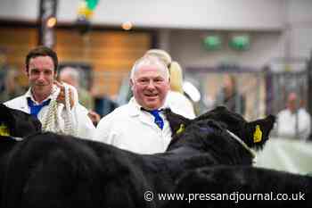 Aberdeen-Angus breeders flock to Black Beauty Bonanza - Press and Journal