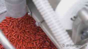 Ottawa signs deals to buy COVID-19 antiviral pills from Merck, Pfizer - Globalnews.ca