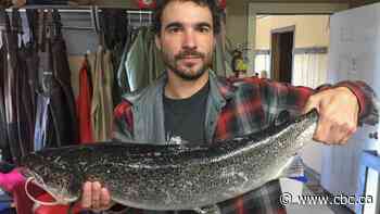 Advocate wants stricter regulations after escaped aquaculture salmon found in Maritime rivers