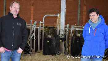 Ungewöhnliche Corona-Impfaktion in Garrel: Auf dem Bauernhof wird Moderna gespritzt - Nordwest-Zeitung