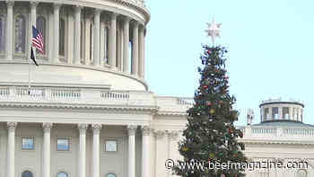 This Week in Agribusiness, December 4, 2021