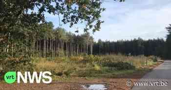 Forest in One Day in Halen: inwoners zullen op 1 dag 5.725 bomen planten - VRT NWS
