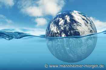 Warum Forscherin Laura Marie Edinger-Schons von der Universität Mannheim zu mehr Nachhaltigkeit drängt - Wirtschaft - Mannheimer Morgen