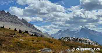 Environment minister to announce funding to fight invasive species in mountain parks