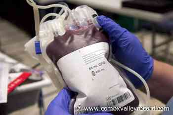 Blood Services to recommend asking donors about sexual activity, not orientation - Comox Valley Record