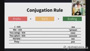 Calgary organization looks to revive endangered languages