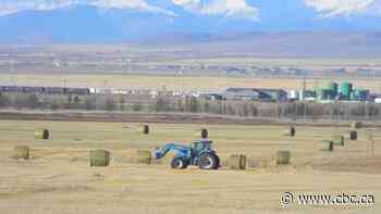 Alberta bound? Only half of Canadians say they'd feel comfortable making the move