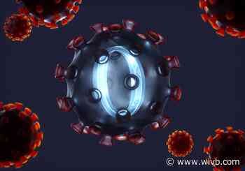 Three new cases of Omicron COVID-19 variant confirmed in NYS