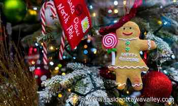 8 ways to feel festive this weekend in Carleton Place, Almonte and area - Ottawa Valley News