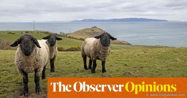 This was a bridge too far, even for Boris Johnson | Rowan Moore