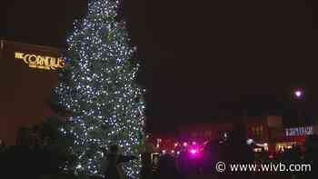 Hertel Avenue shines with annual tree lighting ceremony