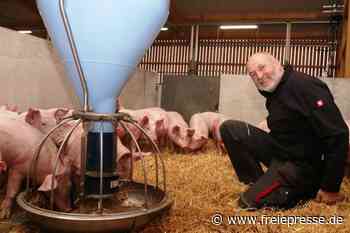 Neuer Öko-Stall für mehr Tierwohl - Freie Presse