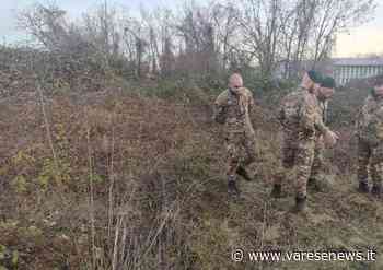Arriva il Genio dell'Esercito per allestire l'hub vaccinale a Gallarate - varesenews.it