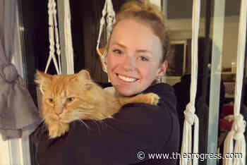 Missing Mission cat mystery solved after eight months away – Chilliwack Progress - Chilliwack Progress