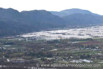 City of Chilliwack downgrades Yarrow evacuation order to evacuation alert – Agassiz Harrison Observer - Agassiz Harrison Observer