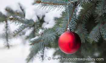 8 things to do in Renfrew, Arnprior and area this weekend - Ottawa Valley News