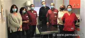 Tutto esaurito per la mattinata di microchippatura dei mici di Parma - - ParmaDaily.it