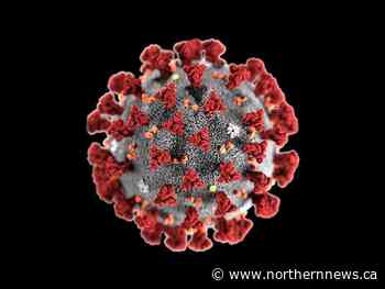 THU declares outbreak at Englehart Public School - Northern Daily News