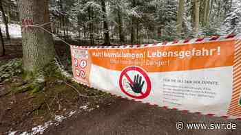 Krabbenwald in Waldachtal wegen Pflegearbeiten gesperrt - SWR
