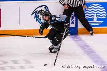 DP Draft Reports: Matthew Savoie, Tristan Luneau, Ty Nelson, Liam Öhgren, Marco Kasper - dobberprospects.com