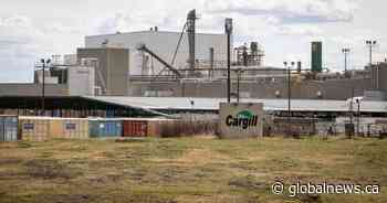 Cargill workers in Alberta vote 71% in favour of contract offer