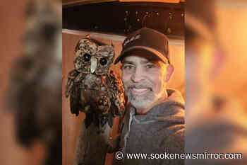 Driftwood owl sculptures now hidden along Colwood trail – Sooke News Mirror - Sooke News Mirror