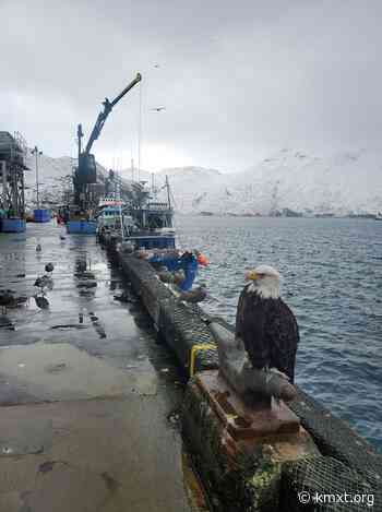 Alaska Fisheries Report December 2, 2021 - KMXT