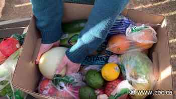 Neighbours across Calgary create mini depots selling veggie boxes at wholesale prices - CBC.ca