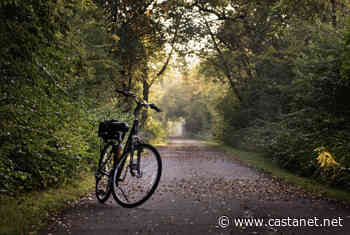 Town of Osoyoos asking residents to collect their lost, missing or stolen bikes before they are donated - Penticton News - Castanet.net
