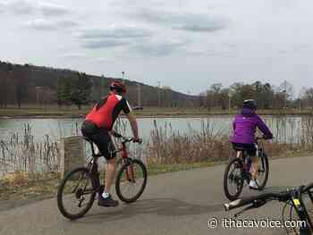 Portion of Cayuga Waterfront Trail closing for NYSEG work - The Ithaca Voice