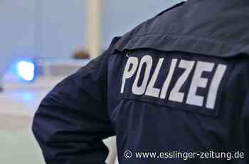 Gefälschte 2-G-Nachweise in Aichtal und Nürtingen - Wohnungen von zwei Männern durchsucht - esslinger-zeitung.de