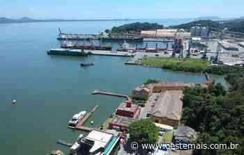 Caminhoneiro morre atropelado após se desequilibrar de escada em porto de SC - Oeste Mais