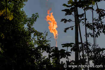 Crude reality: One U.S. state consumes half the oil from the Amazon rainforest