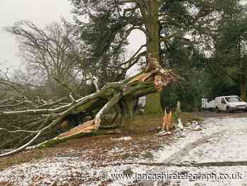 Concern as thousands still left without power a week after Storm Arwen