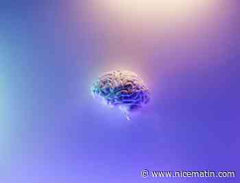 On vous explique comment le cerveau fonctionne lorsque vous êtes sous hypnose