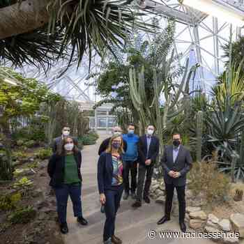 Essen: Pflanzenschauhäuser endlich wieder geöffnet! - Radio Essen