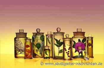 Essen in Schweden - Nachhaltig genießen in Stockholm - Stuttgarter Nachrichten