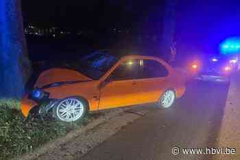 Auto botst tegen boom in Sint-Truiden, één lichtgewonde - Het Belang van Limburg