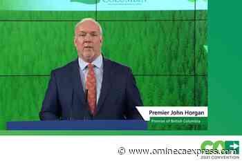 Timber buy-back, redistribution in latest BC forest overhaul – Vanderhoof Omineca Express - Omineca Express