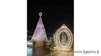 "Tutti insieme per un Albero" l’opera collettiva di 92 volontari - Il Giorno