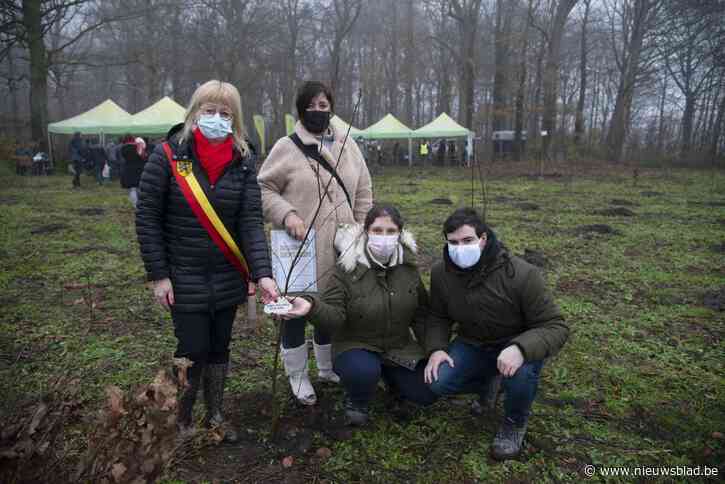 Ook sterrenkindjes krijgen geboorteboompje