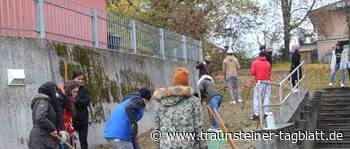 Blumenwiese für die Schule – Traunsteiner Berufsschüler beteiligen sich bei »Plant(s) for Future« - Traunsteiner Tagblatt