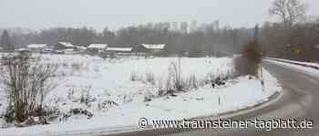 Nach Ablehnung der Bebauung in der Daxerau will die Chiemgau Residenzen GmbH verhandeln - Traunsteiner Tagblatt