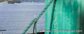 Colombie-Britannique: l’oléoduc Trans Mountain repart dimanche