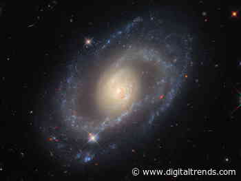 Hubble Space Telescope captures a sparkling spiral galaxy