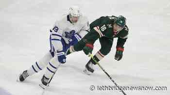 Kaprizov gets shootout winner; Wild beat Maple Leafs 4-3 - Lethbridge News Now