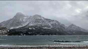 Millions allocated to fighting invasive species in Alberta national parks - Lethbridge News Now