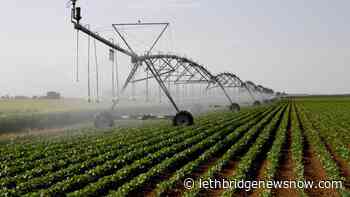 Joint collaboration soil health project to increase on-farm fertilizer stewardship - Lethbridge News Now