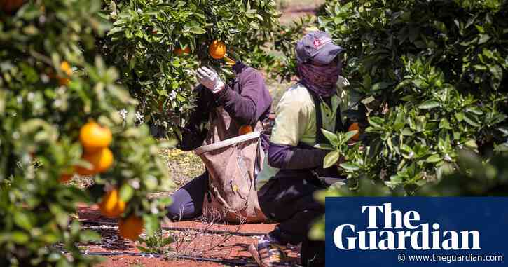 The shameful conditions for farm workers in Australia